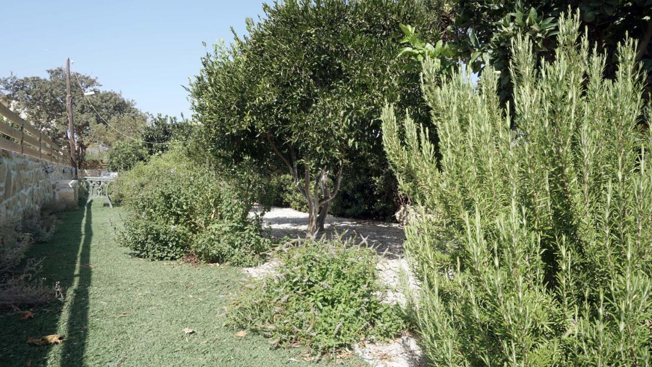 Studio Panagiota - Oasis Holiday Houses Kokkinos Pirgos Luaran gambar