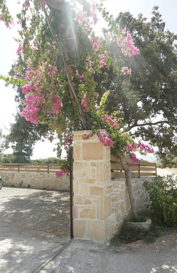 Studio Panagiota - Oasis Holiday Houses Kokkinos Pirgos Luaran gambar
